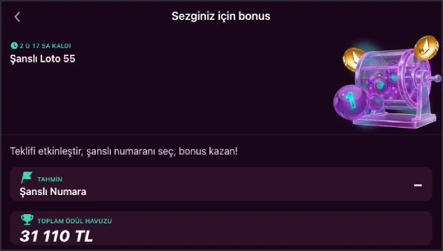 Luks Casino bonus kullanım koşulları ekranı